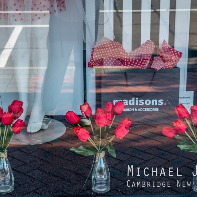 Madisons 54 Duke Street Cambridge New Zealand