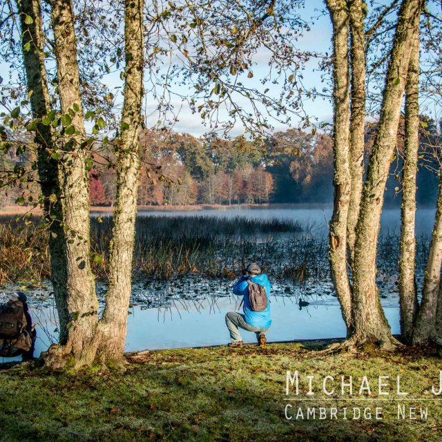 Lake Te Kō Utu Cambridge New Zealand