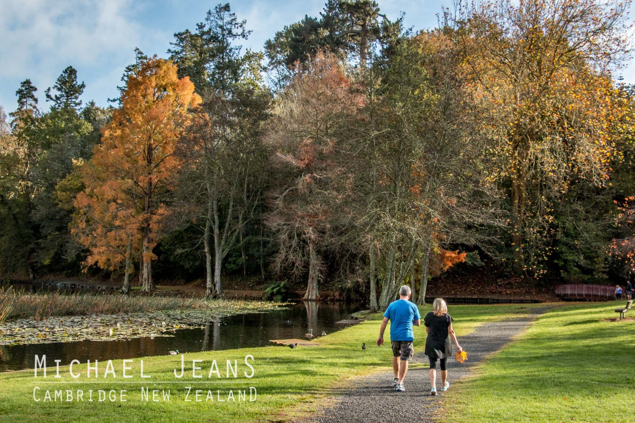 Walking beside Lake Te Kō Utu Cambridge Domain New Zealand