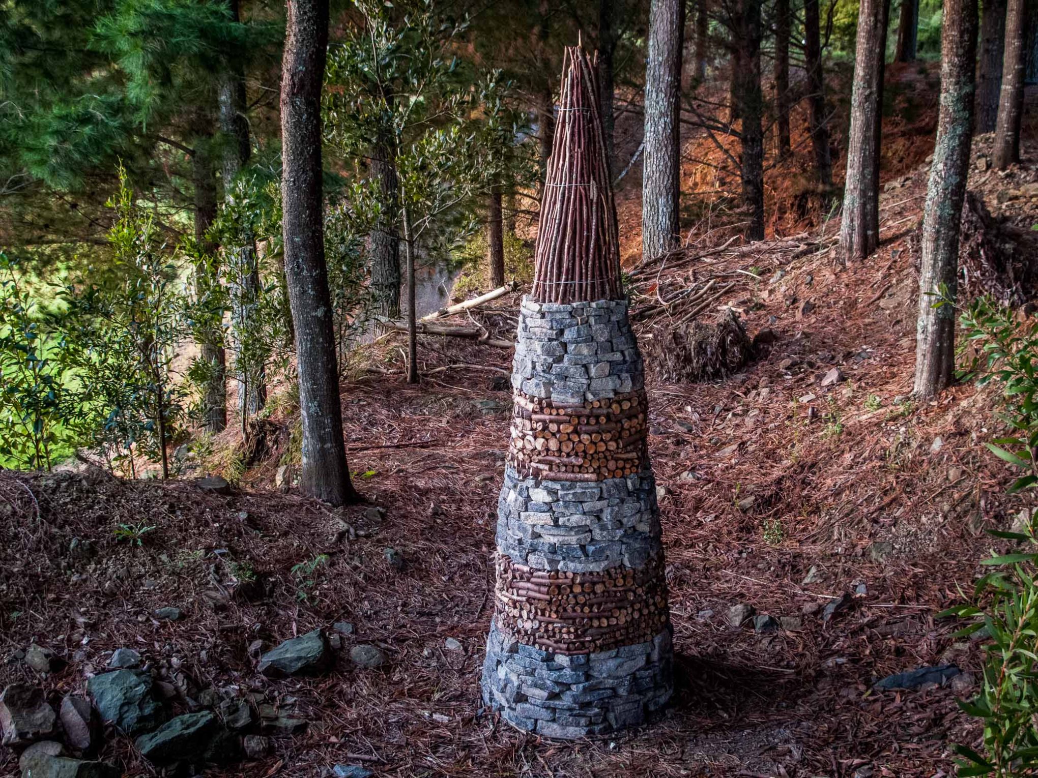 The Sculpture Park Waitakaruru Arboretum 207 Scotsman Valley Road Tauwhare