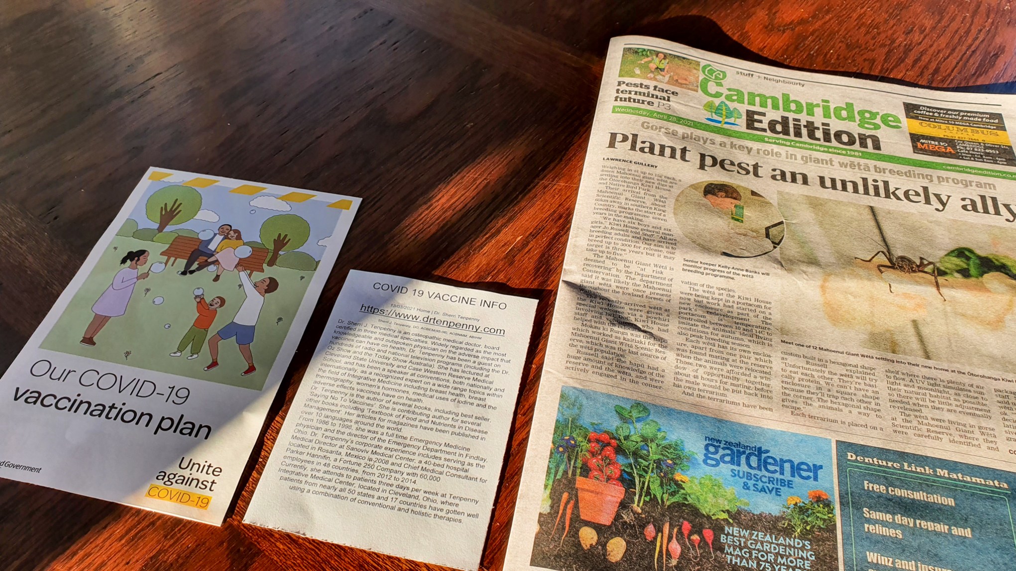 vax, no vax & useful gorse