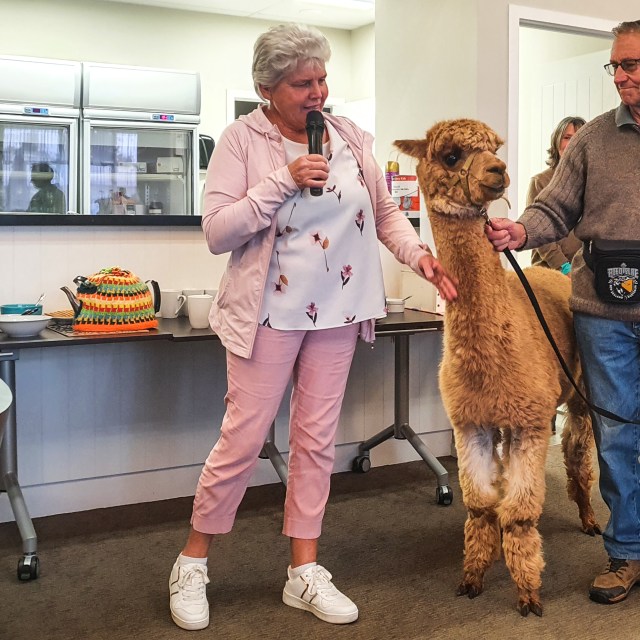 Awaawaroa Alpacas Pukekohe