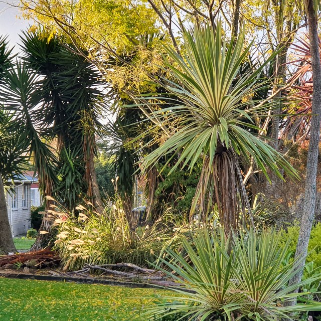 in the neighbourhood