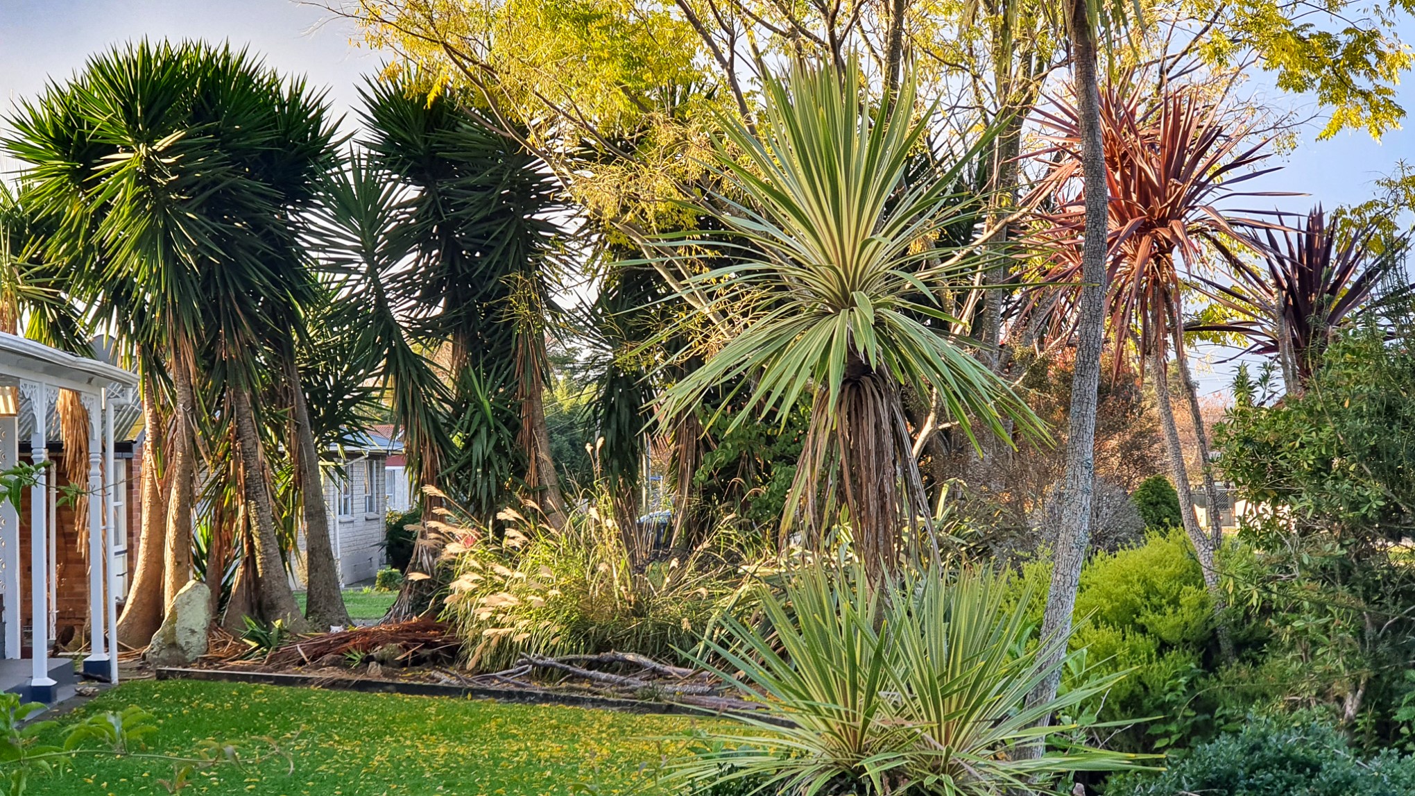 in the neighbourhood