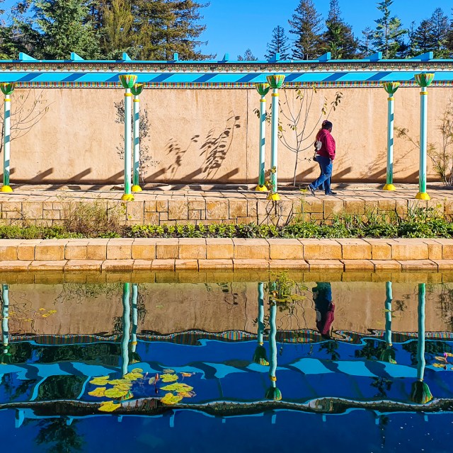 Ancient Egyptian Garden