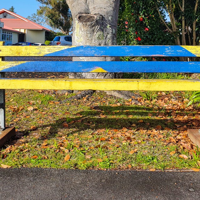bench