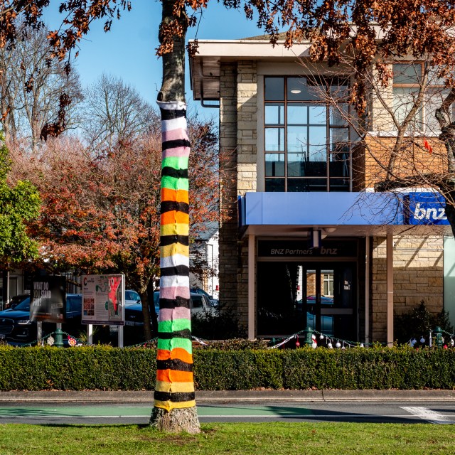 Yarn bombing Victoria Street Cambridge