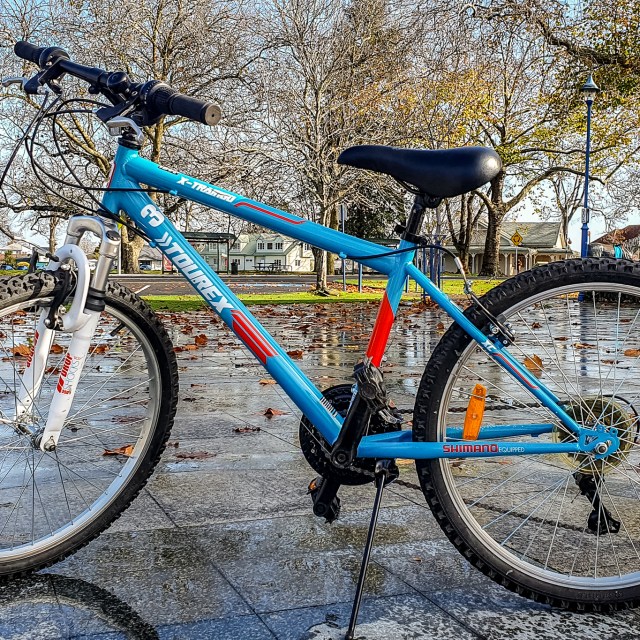 Tourex - great name for a kid's bike