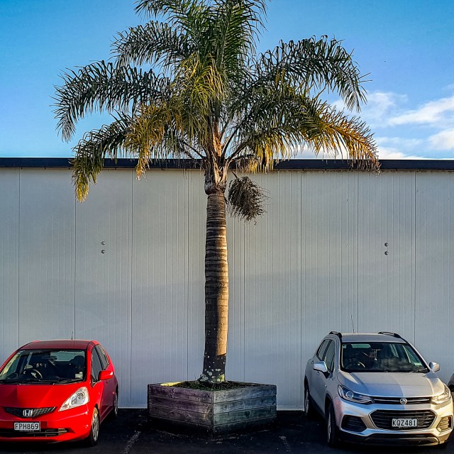 Gorton Road Karapiro