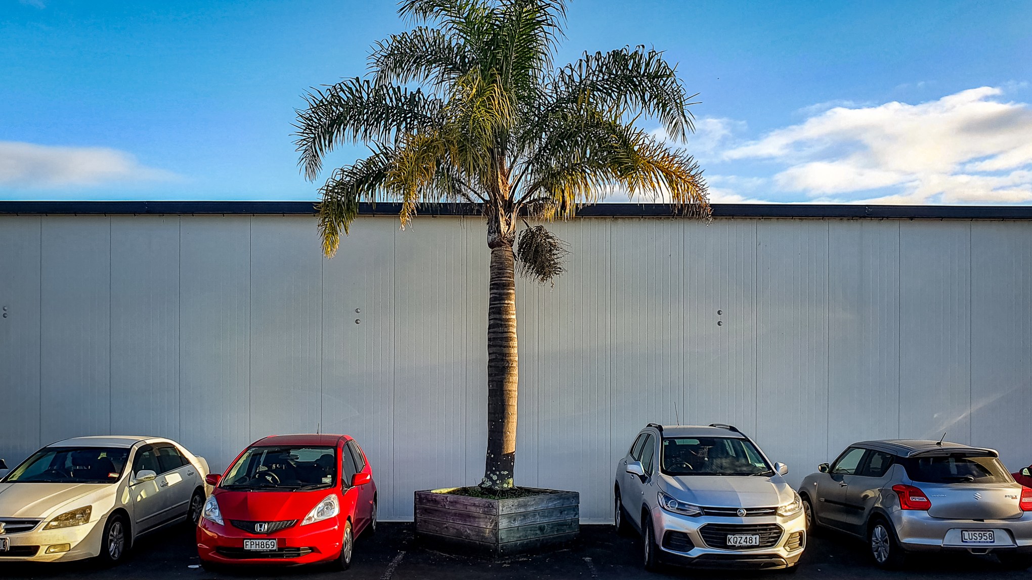 Gorton Road Karapiro