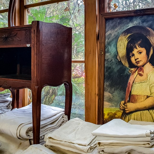 The Flower Barn at Gail’s of Tamahere