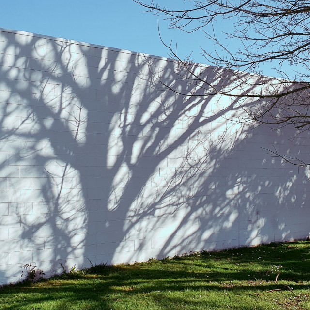 Fort Street, Cambridge, Waikato