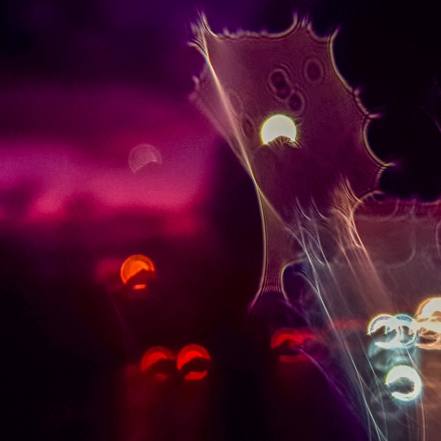 vehicle lights & evening sky & rain on the lens