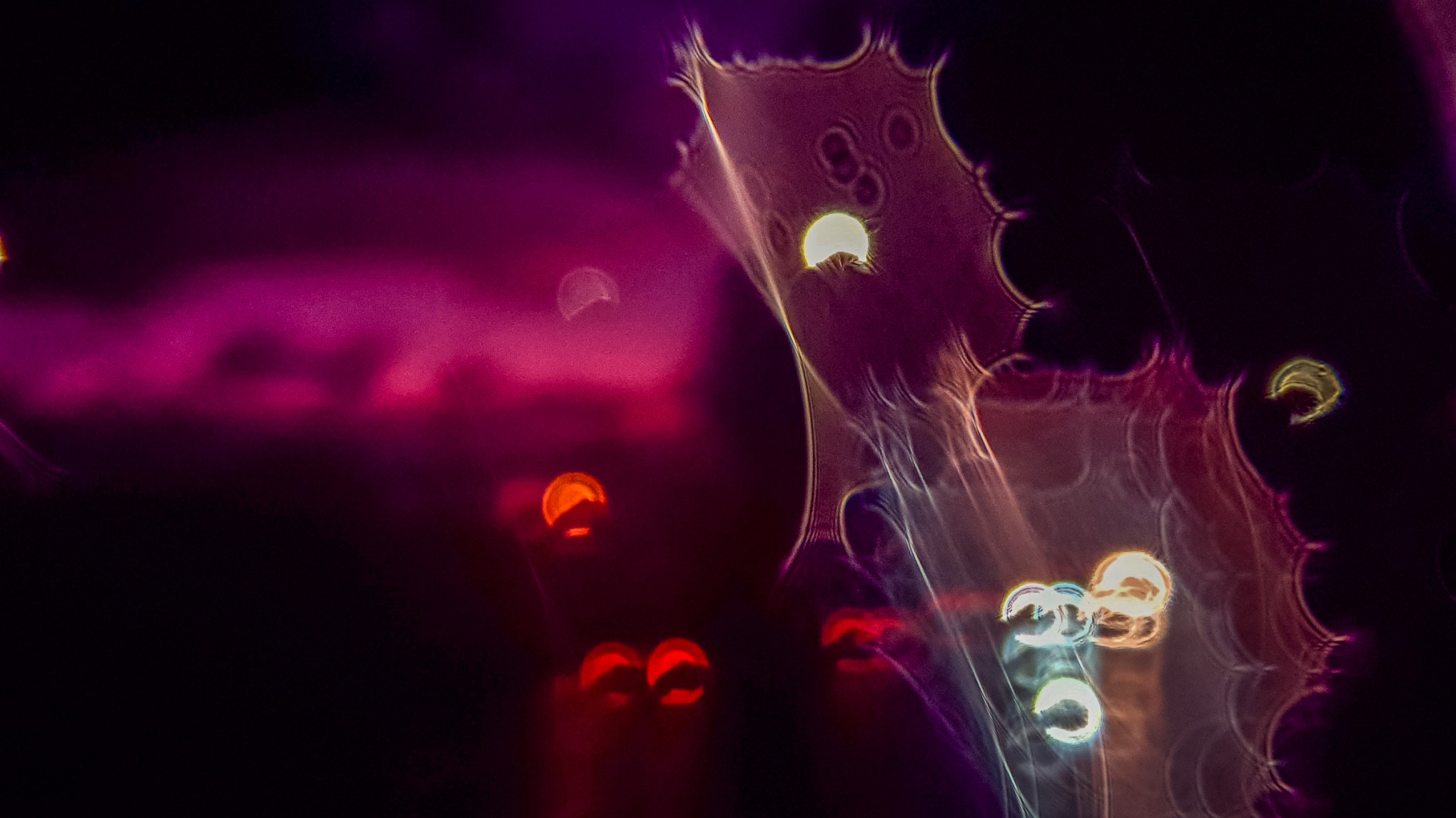 vehicle lights & evening sky & rain on the lens