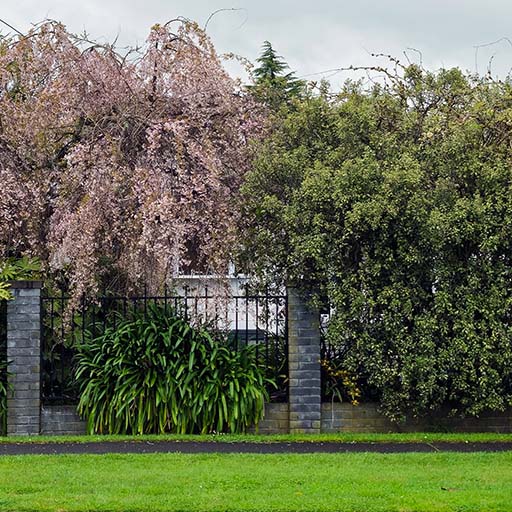 Bus stop, Arnold Street.
