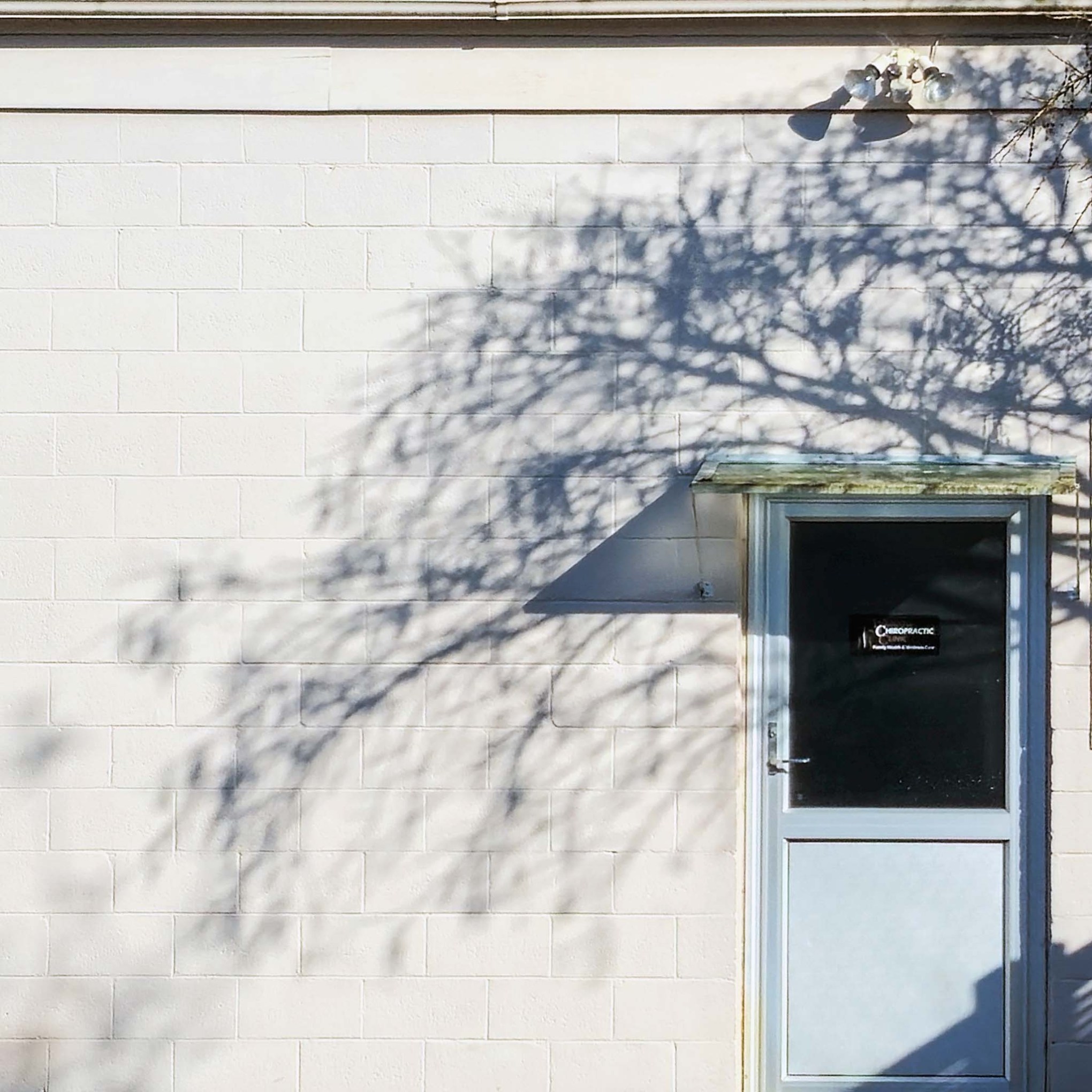 The disappearing tree